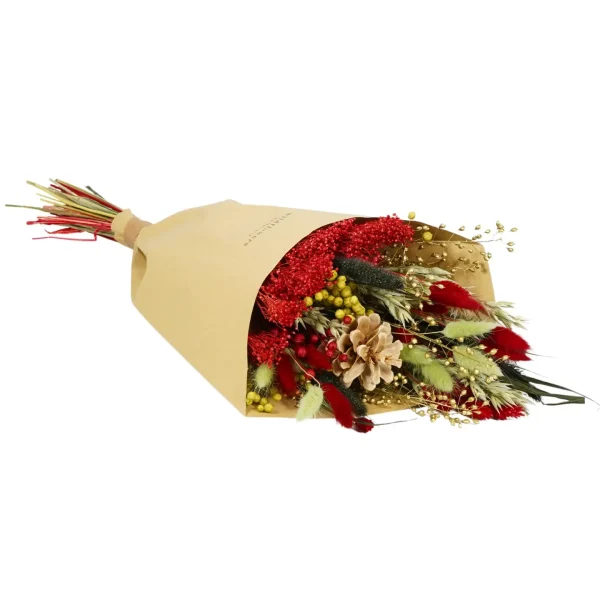 Dried Flowers Christmas Field Holiday Cheer