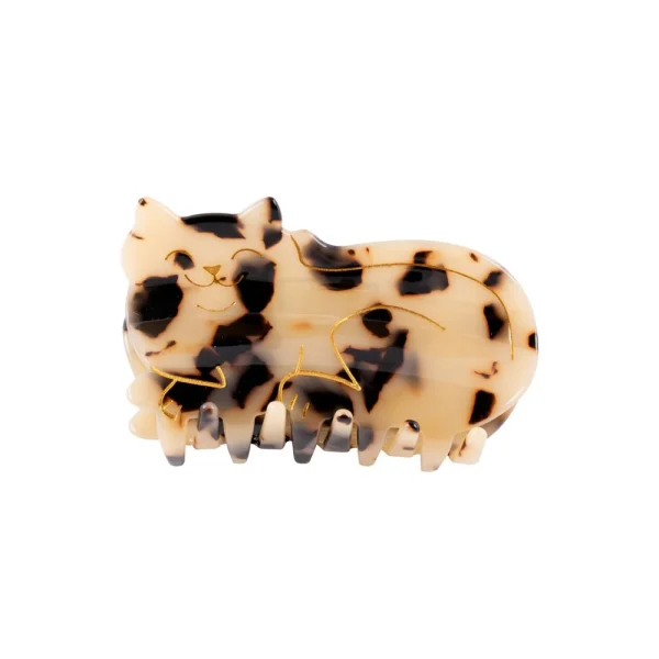 Hair Claw Cat Tabby